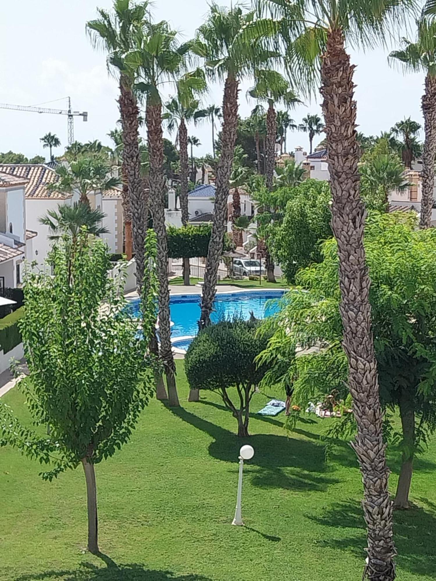 Charming Apartment In Front Of Villamartin Golf And Plaza Eksteriør bilde